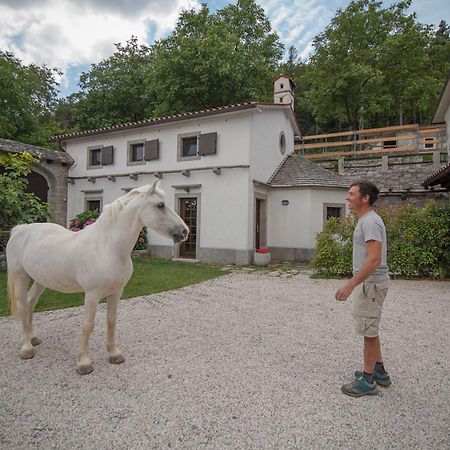 Tmbin'S Barn - Nature, Horses, Family Sežana Esterno foto