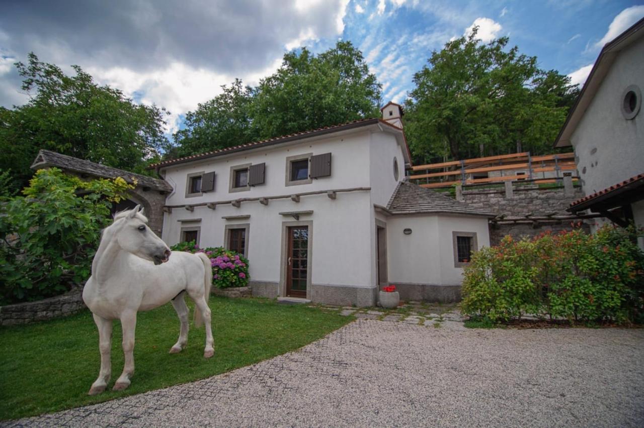 Tmbin'S Barn - Nature, Horses, Family Sežana Esterno foto