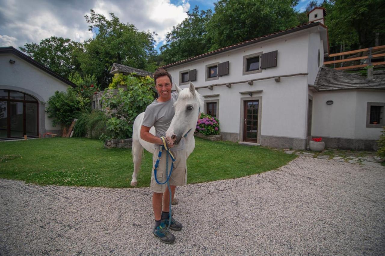 Tmbin'S Barn - Nature, Horses, Family Sežana Esterno foto