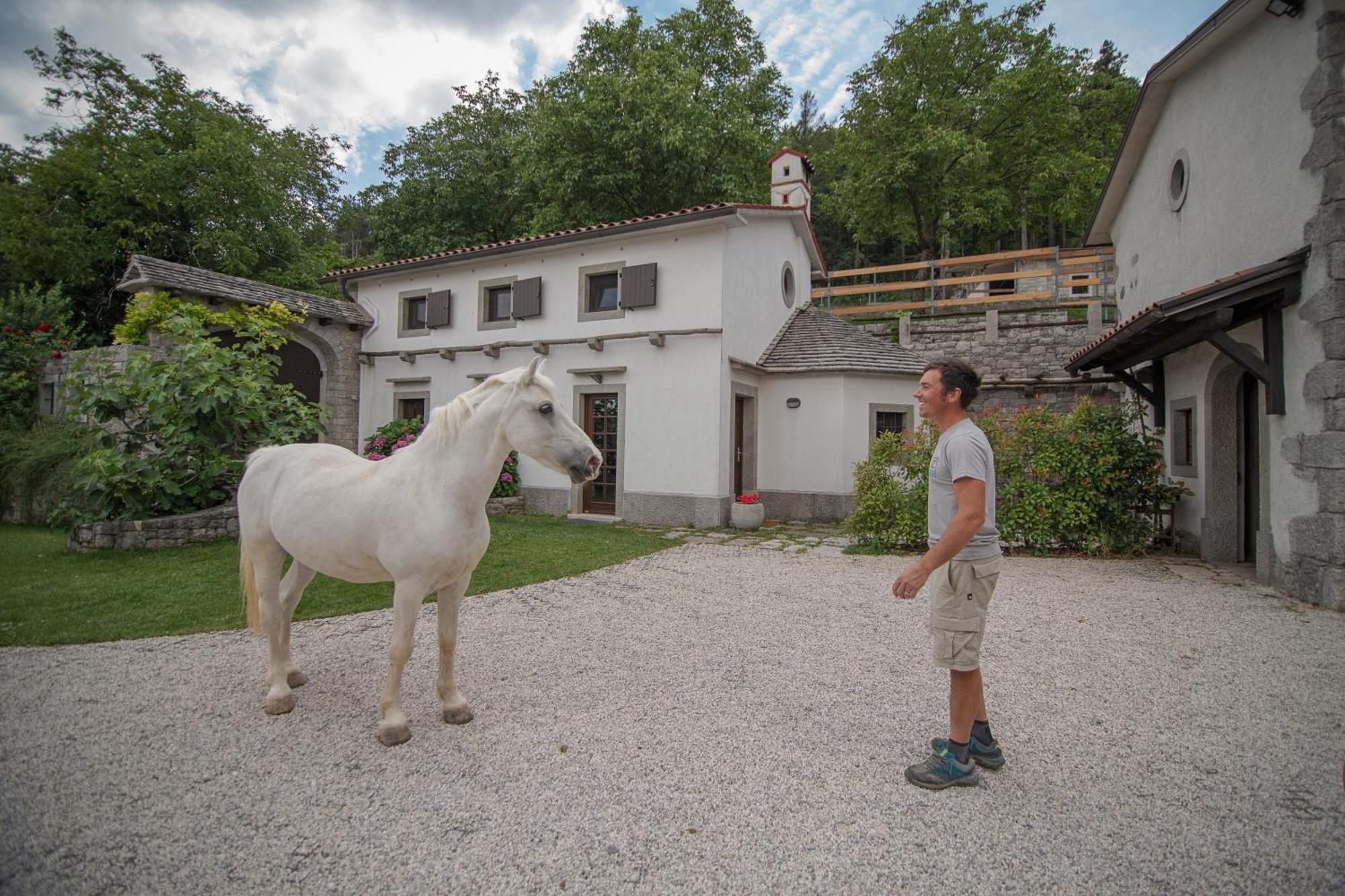 Tmbin'S Barn - Nature, Horses, Family Sežana Esterno foto